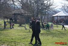 pelenica