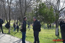 pelenica