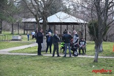 pelenica