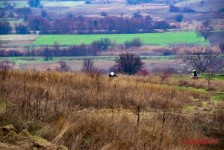 9-ти Бадников собир Ендуро Тим Водно