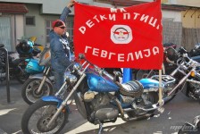 retki_ptici-16
