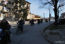 retki_ptici-88