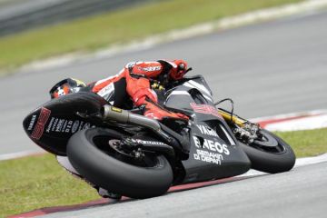 thumb_2012-lorenzo-2